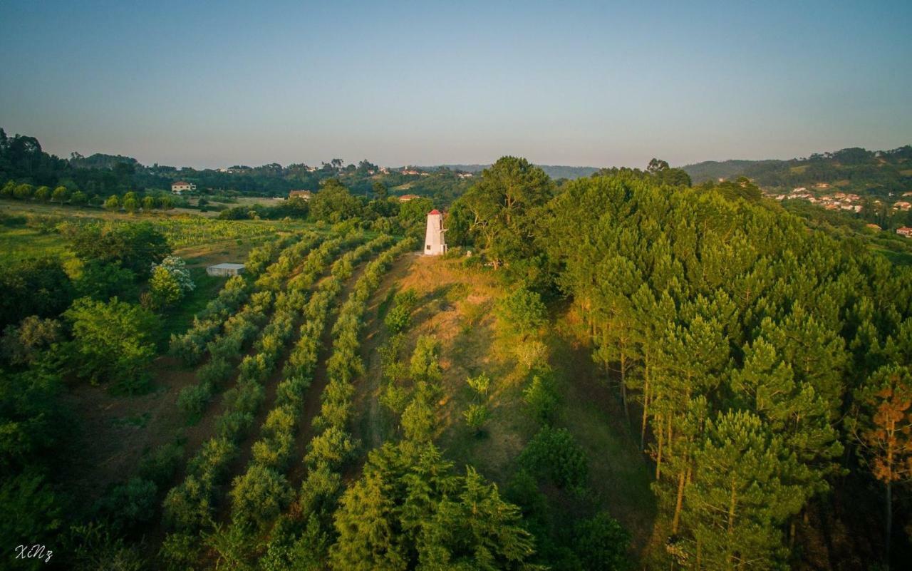 Вілла Quinta Do Guerra Boldrarias Екстер'єр фото
